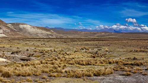 Grassy lowlands with mountains in the distance under a cloudless sky, The Andean highlands of Peru