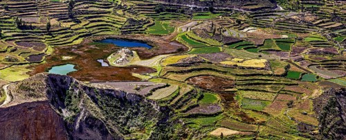 Diversity of terraced fields with small lakes in hilly areas, the landscape of the Colca Canyon in