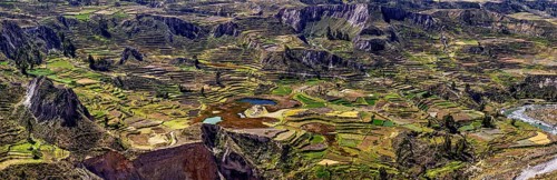 Extensive views of terraced land with a river, the landscape of the Colca Canyon in the Aden of