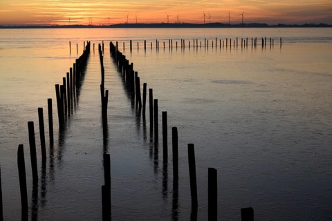 Row of posts over calm water at dusk, deep blue tones, wooden posts, boat dock posts run into the
