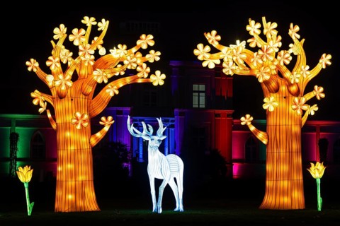 From November 29, 2025 to January 11, 2026, the palm garden and its partner World of Lights