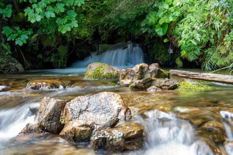 Clear mountain stream, moss-covered stones, Zgornje Jezersko mountaineering village, Slovenia