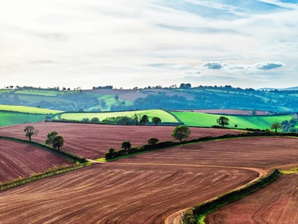 Colours of Devon Farms and Fields over Paignton and Berry Pomeroy from a drone, Totnes, England,