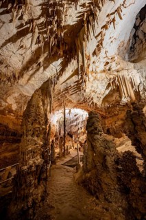 Stalactites and stalagmites, rock formations in a stalactite cave, Grotta del Fico, Gulf of Orosei,