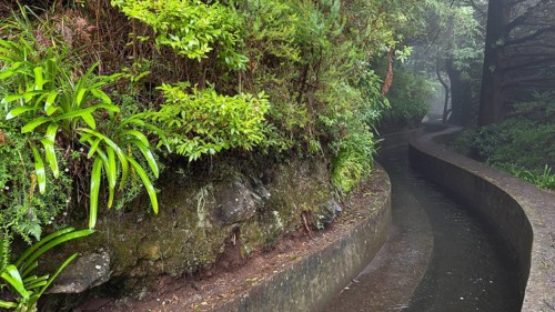 PR17 Pinaculo e Folhadal hiking trail, Levada, Irrigation Canal, Madeira, Portugal