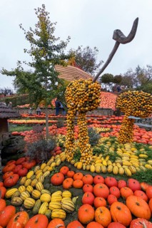 Decoration with pumpkins on a farm