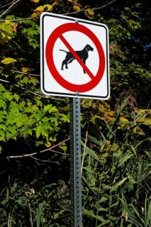Posted white, red and black pictogram sign warning that dogs are not allowed or forbidden in public