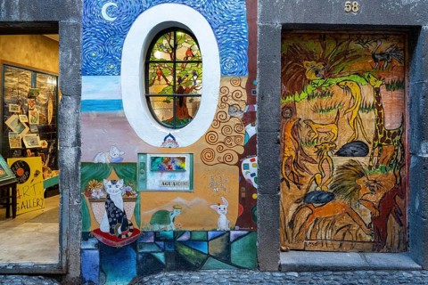 Colourfully painted doors on Santa Maria Street in the old town, Funchal, Madeira, Portugal