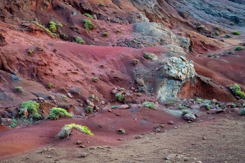 Volcanic soil, colorful soil, red, erosion, near Miradouro da Ponta do Rosto, Madeira, Portugal