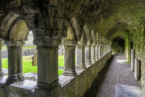 Cloister in the ruins of Sligo Abbey (Dominican) founded 1253, Sligo, County Sligo, Ireland