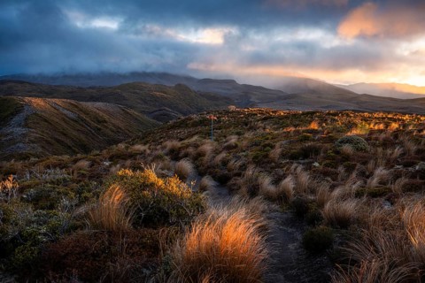Volcanic landscape, Tama Lake Walk (Tama Lakes Track), evening light, sunset. Tongariro National