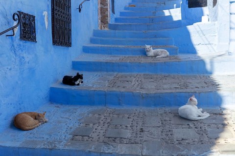 MAR, Chefchaouen, Medina