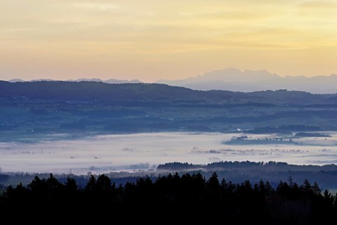 View from Horben of the Reuss Valley covered in fog, behind it the Alpstein with the Säntis in the