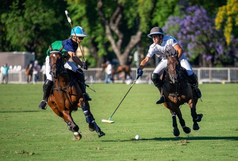 Scene at the 132nd Argentinean Open Polo Championship (Spanish 132nd Abierto Argentino de Polo de