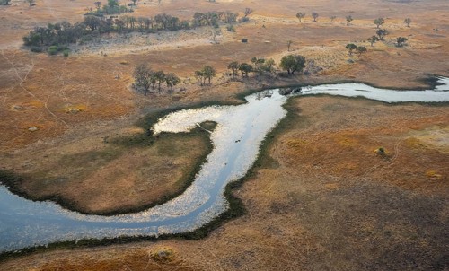 Wetland, landscape, aerial view of the Okavango Delta, near Maun, Okavango Delta, Botswana
