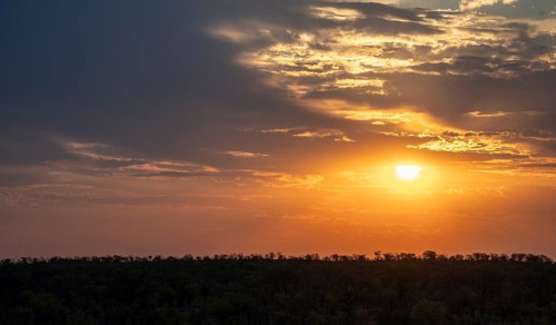 Impressive sunset over the African savanna, silhouette of the horizon with trees in front of the