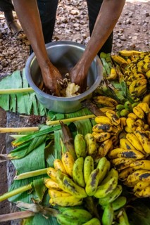Local man, production of banana juice and banana schnapps, banana plantation, near Fort Portal,