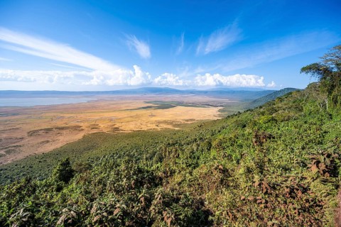 View of Ngorongoro Crater, Crater Viewpoint, Forest and Savanna Landscape, Ngorongoro Conservation