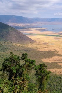 View of Ngorongoro Crater, Crater Viewpoint, Forest and Savanna Landscape, Ngorongoro Conservation