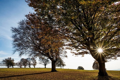 Weather forecast in autumn, sunset, Schauinsland, Freiburg im Breisgau, Black Forest,