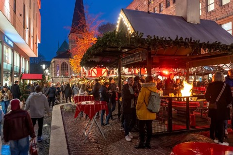 Christmas market in Essen, gastronomy, fire forest, at Essen Cathedral, Kettwiger Straße shopping