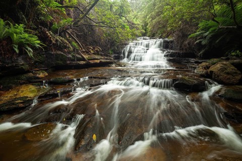 Leura Falls in a lush valley full of ferns and vegetation, Blue Mountains, New South Wales,