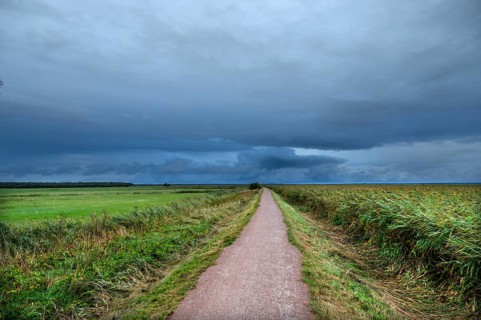 Hiking trail through the lagoon landscape, rain clouds (Nimbostratus), Ahrenshoop, Darß,