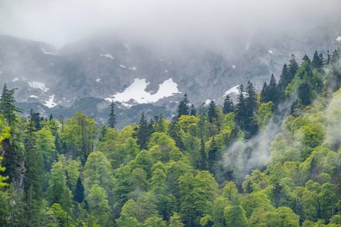 View into the mountains next to Lake Offensee on a rainy day in spring, Salzkammergut, Austria,