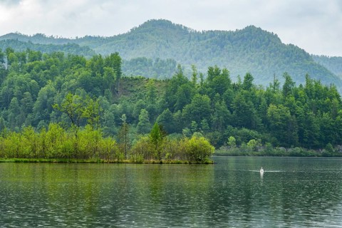 Landscape of Lake Almsee on a rainy day in spring, Salzkammergut, Austria