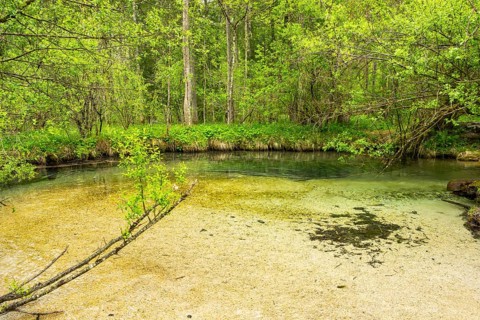 Lanscape of a little stream flowing through the forest in spring on a rainy day, Bavaria, Germany
