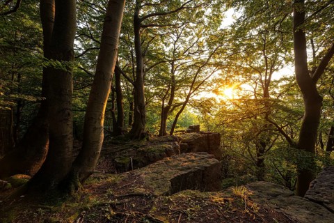A picturesque sunset bathes the forest and rocky cliffs of the Kanstein in golden light, Thüster