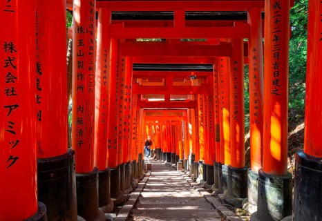 Walk through hundreds of red traditional torii gates, Fushimi Inari Taisha, Shinto Shrine, Fushimi