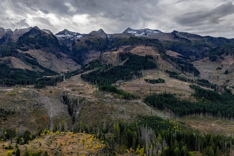 Logging, clearing, clearcut, timber industry, logging, mountain landscape, aerial view, autumn,