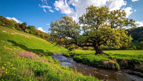 A serene landscape featuring a large tree by a stream at sunset with vibrant green grass and