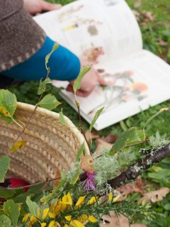 Botanist pointing at a plant illustration in an open book while researching outdoors with a wicker