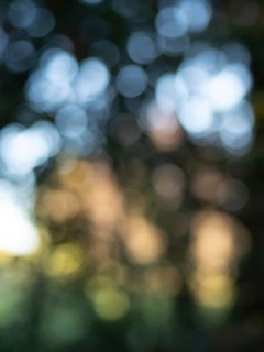 Beautiful bokeh effect created by natural light filtering through trees, forming an abstract