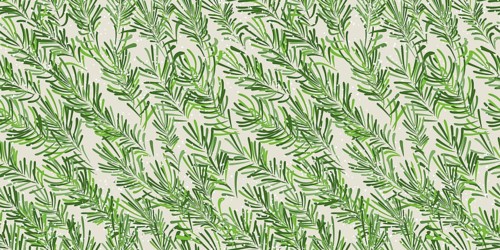 Stylized, hand drawn fir tree branches and snow flakes seamless vector pattern design for winter