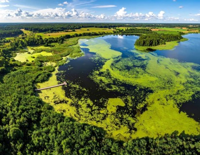 Green algae on the lake. Aerial view of nature, landscape with hills and forest in summer, cloudy