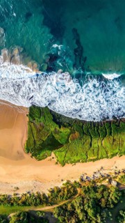 Green algae on the sandy shore of an ocean. Fascinating phenomenon of wild coastline with green