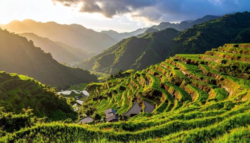 Early morning light bathes Philippines rice terraces cascading down mountain slopes, beautiful
