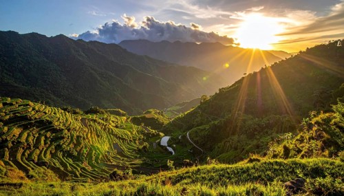 Early morning light bathes Philippines rice terraces cascading down mountain slopes, beautiful