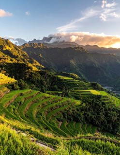 Early morning light bathes Philippines rice terraces cascading down mountain slopes, beautiful
