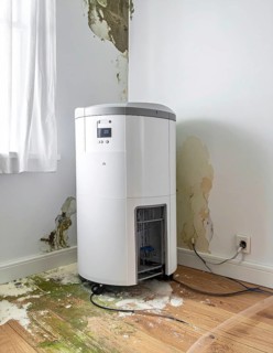 A specialized dehumidifier operates in a mold-infested room following water damage, Shell