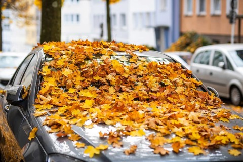 A car is covered with a thick layer of autumn leaves in autumn, Wuppertal, Germany