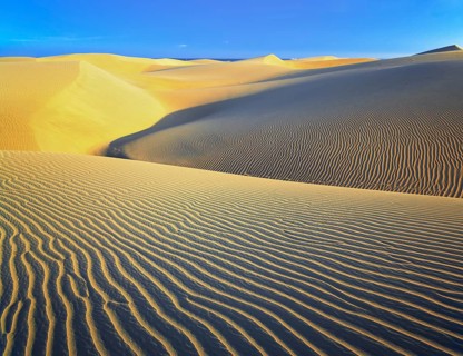 Sand dunes, Maspalomas, Playa del Ingles, Gran Canaria, Canary Islands, Spain