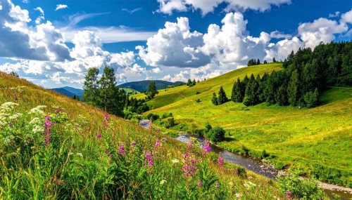 Fresh summer hilly Landscape with blooming Meadow, green plants, Blue Sky with cloudy sky, serene