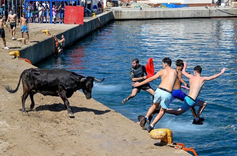 Bous a la Mar Fair, in English Bulls in the Sea, Bullfighting, Javea or Xàbia, Alicante Province,