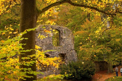 Altzella Abbey is a former Cistercian abbey west of the town of Nossen. In the Middle Ages, it was