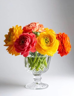 Crystal glass vase with vibrant blooming flowers, fresh spring and summer concept, AI generated