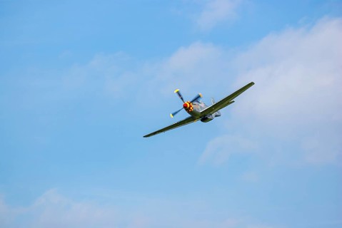 A North American P-51 Mustang of the flying group Flying Bulls, the Nooky Booky IV during an air